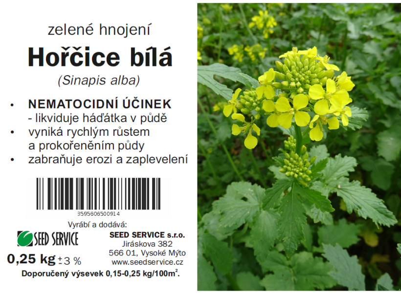 HOŘČICE BÍLÁ